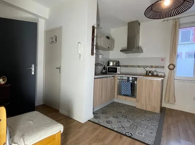 Apartmán Le Cosy - Calme - Parking- A Proximite Du Wacken Et Des Ateliers Sncf