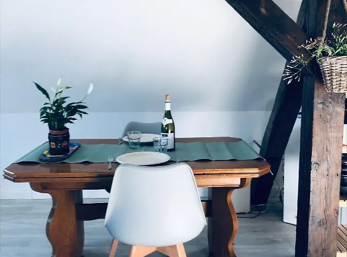 Le Cosy - Calme - Parking- A Proximite Du Wacken Et Des Ateliers Sncf Apartmán Schiltigheim