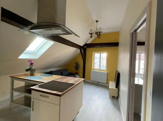 Le Cosy - Calme - Parking- A Proximite Du Wacken Et Des Ateliers Sncf Apartmán Schiltigheim